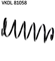 SKF VKDL 81058